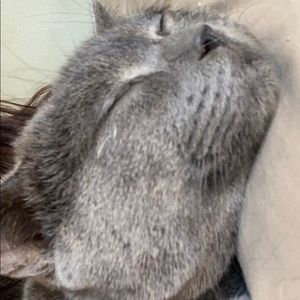 Meet your Posher, Hailey